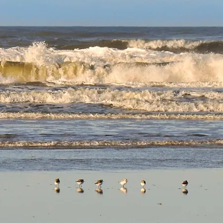 Casa vacanze Elsa - 700m From The Sea By Interhome *