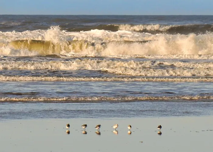 Holiday home Elsa - 700m From The Sea By Interhome *